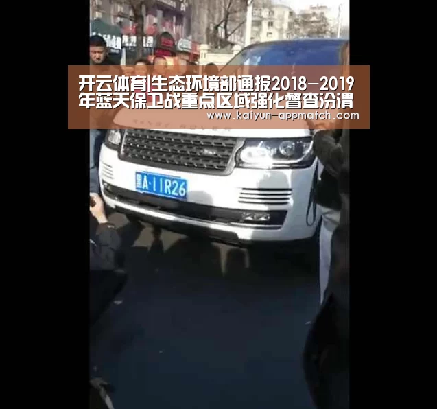 开云App下载